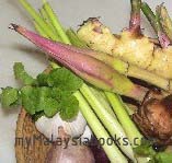 herbs and other ingredients for Nyonya cooking
